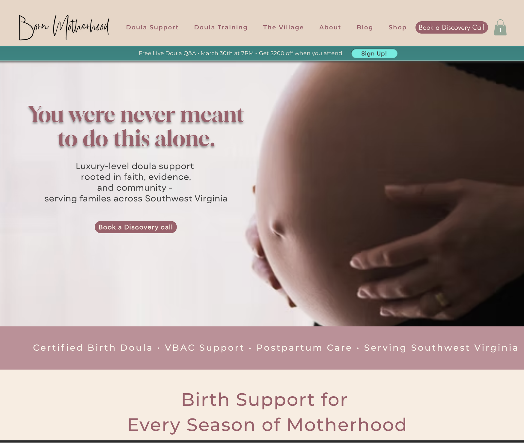 Born Motherhood website screenshot