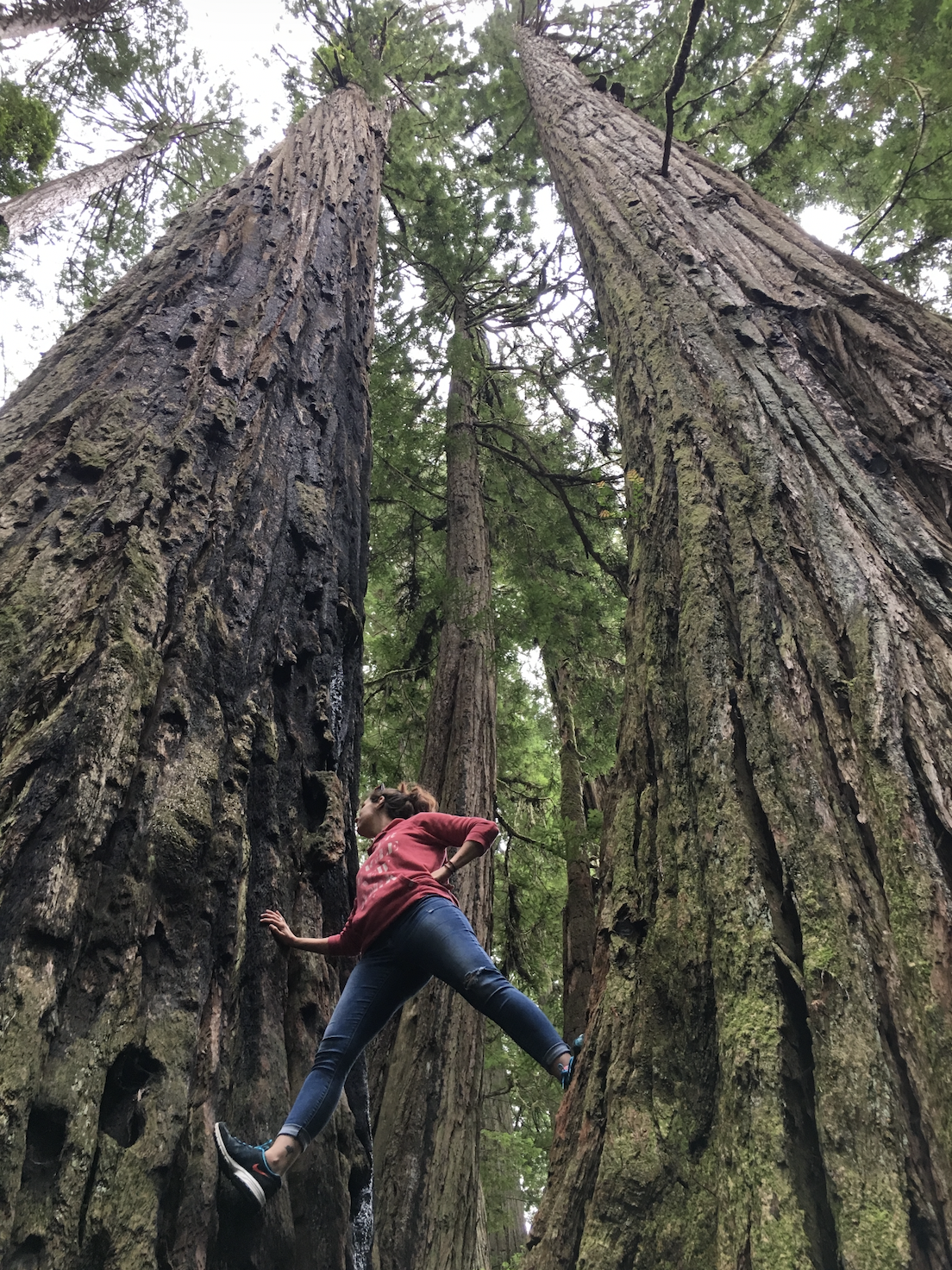 Kayla among tall trees